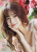 内务从管部分、经济从管部分、“海委会”等 